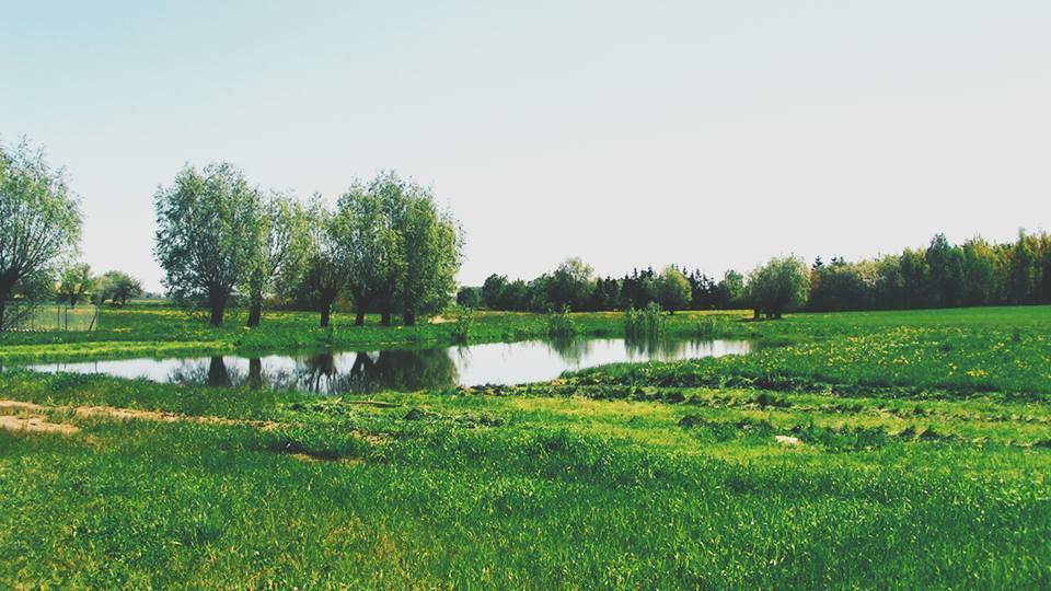 Chata Za Wsia Skaszewo Exterior photo